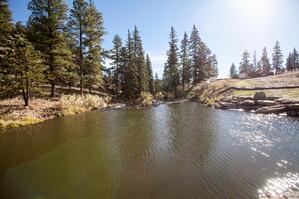 Fishing Camp 1