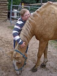 Colorado Springs Therapeutic Riding Center 3