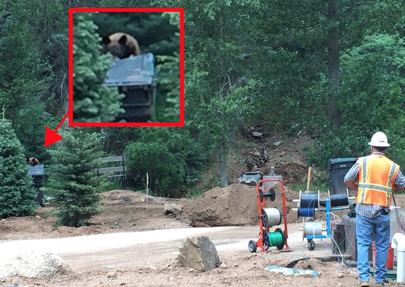 Helping Colorado Springs' Landmark Seven Falls Restaurant ...